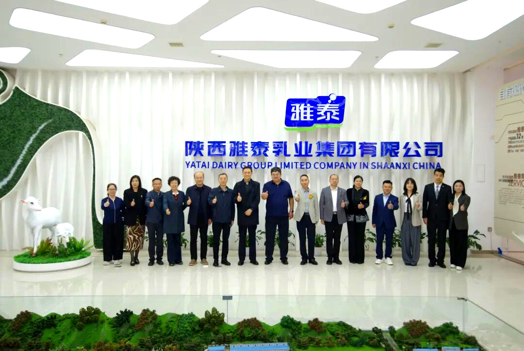 图片12.png