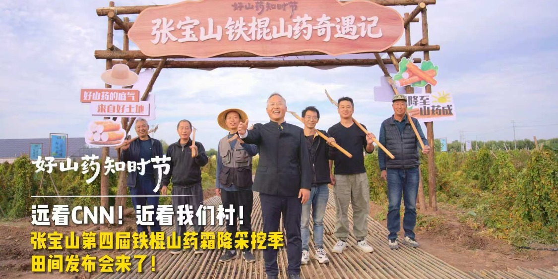 张宝山第四届铁棍山药霜降采挖季田间发布会来了