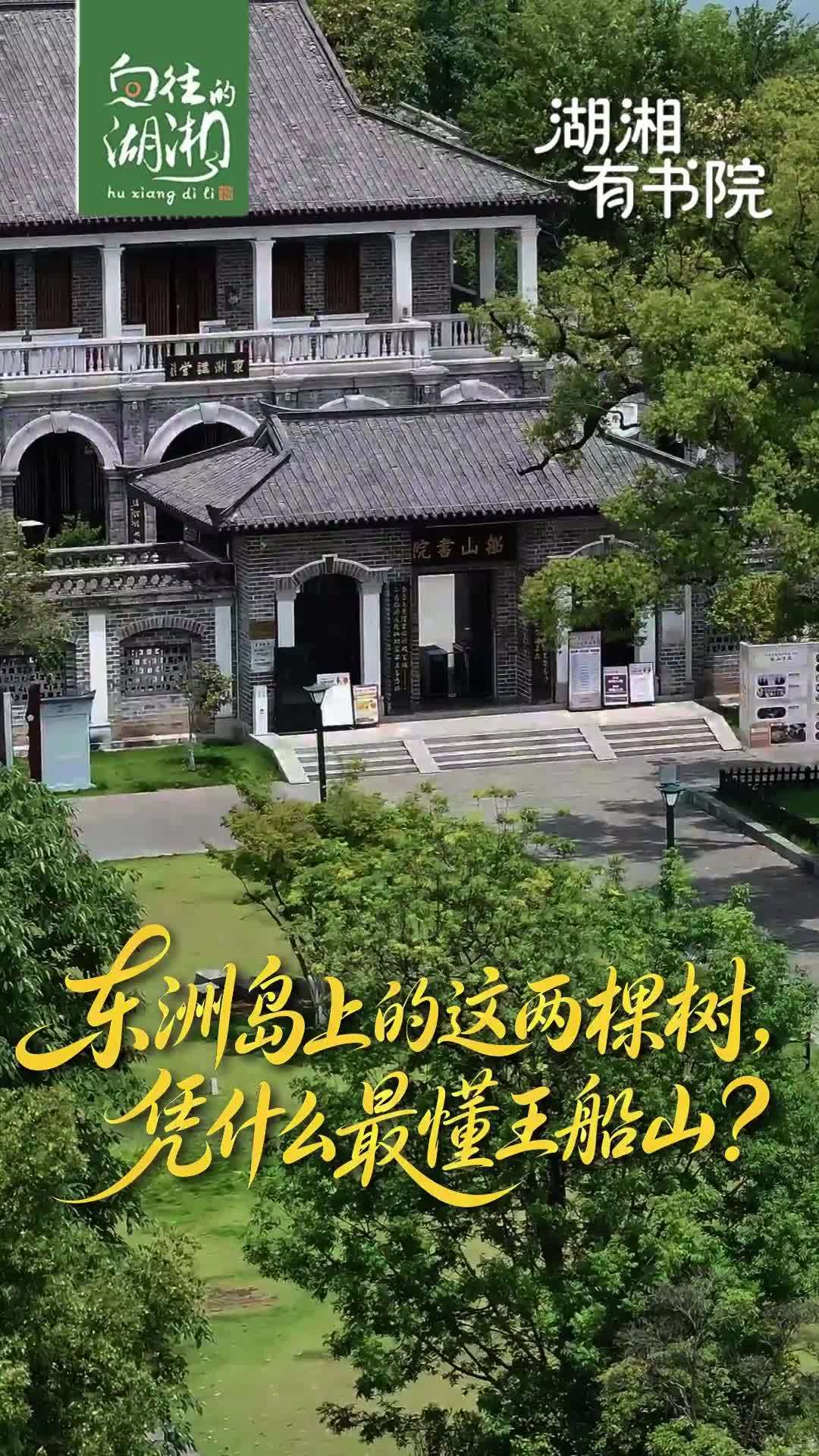 东洲岛上的这两棵树，凭什么最懂王船山？
