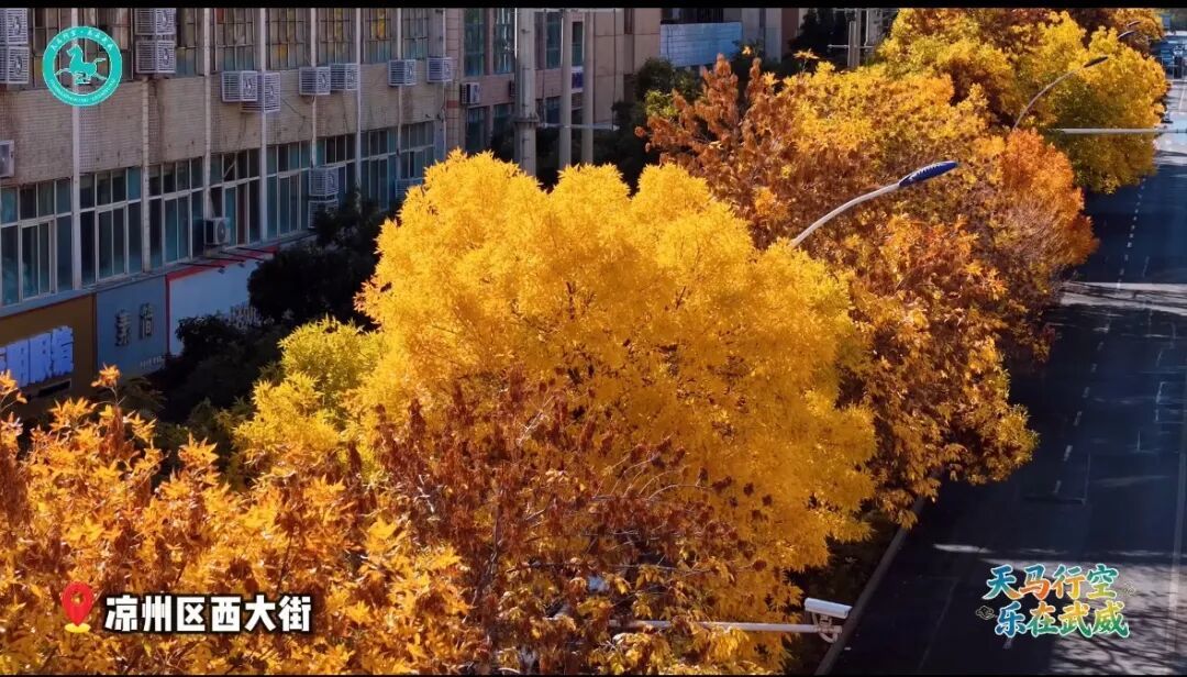 b1a72bb7f234b591c70493d5055b1c5e.jpg
