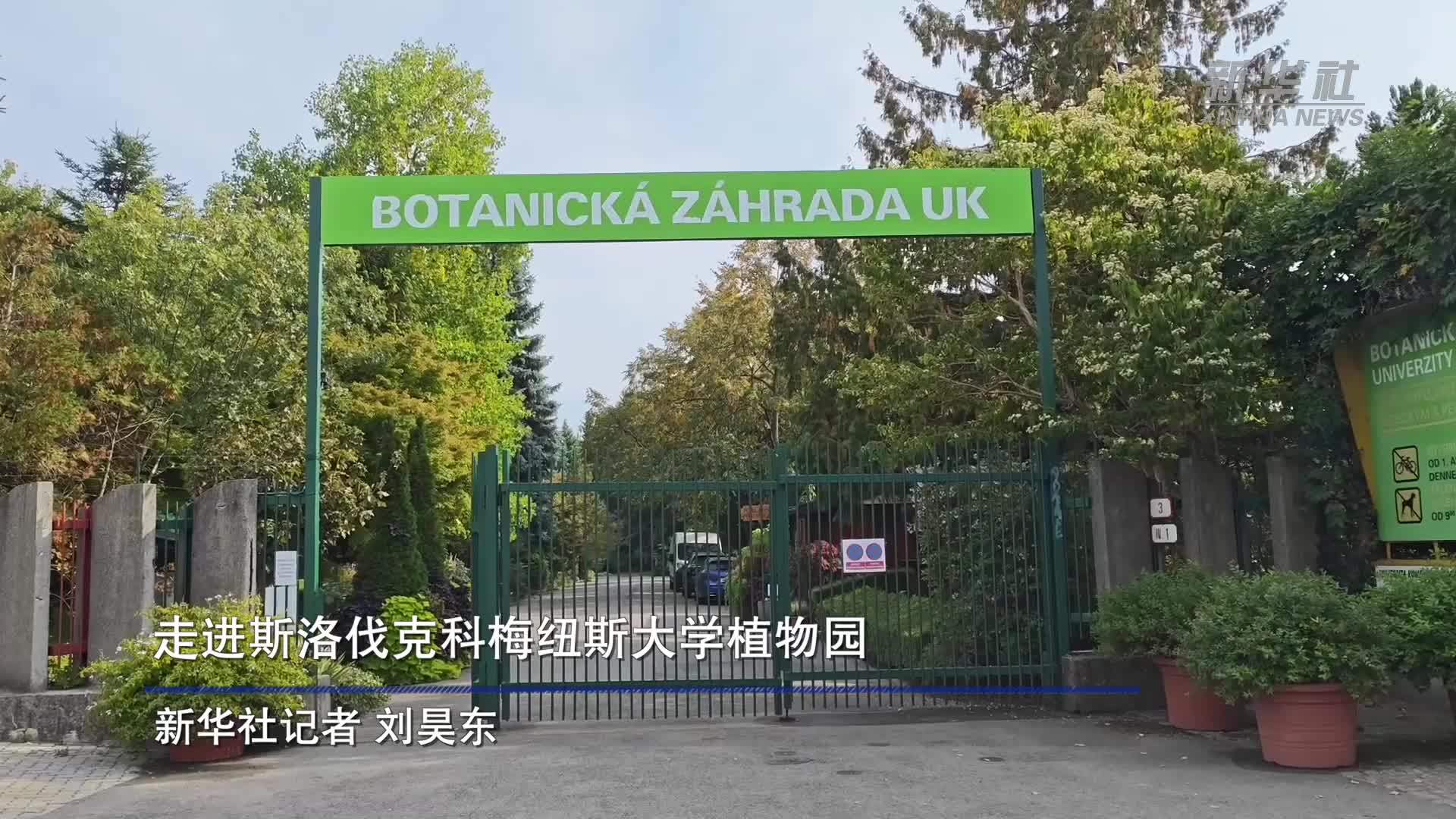 走进斯洛伐克科梅纽斯大学植物园