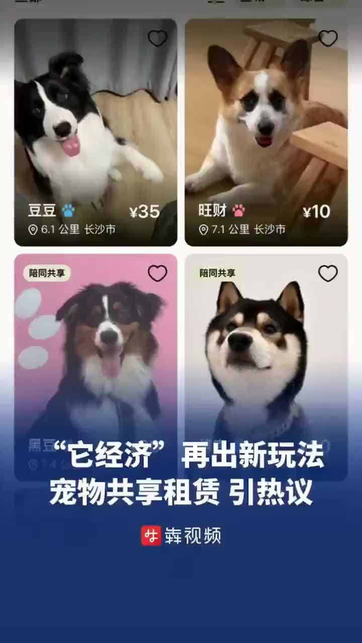 “它经济”再出新玩法 宠物共享租赁引热议