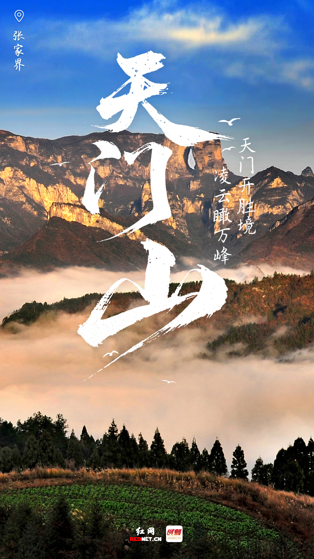 张勇/摄