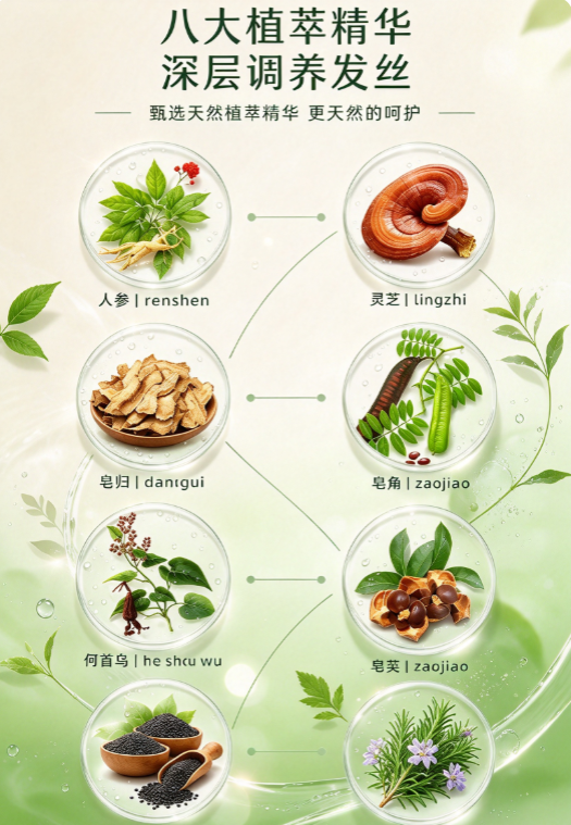 微信图片_20261019171222_847_2.png