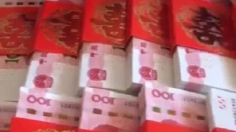 【闪婚女子孕后终止妊娠返还9万彩礼】女子遭家暴终止妊娠被起诉返还彩礼