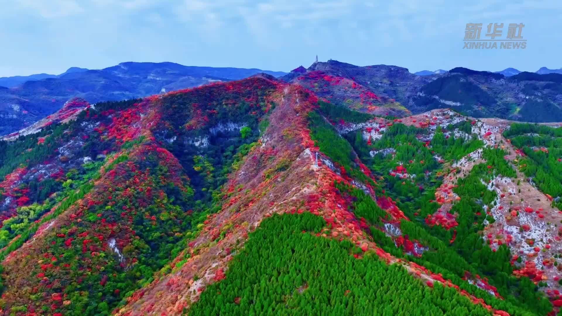 层林焕彩白石洞 漫山红叶抱翠心