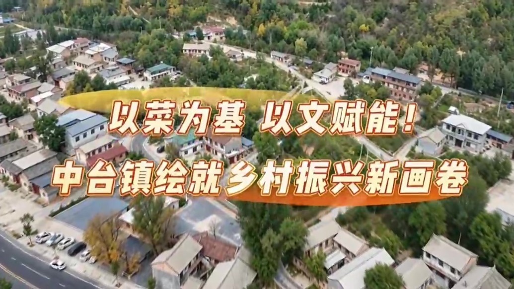 以菜为基以文赋能　甘肃灵台绘就乡村振兴新画卷