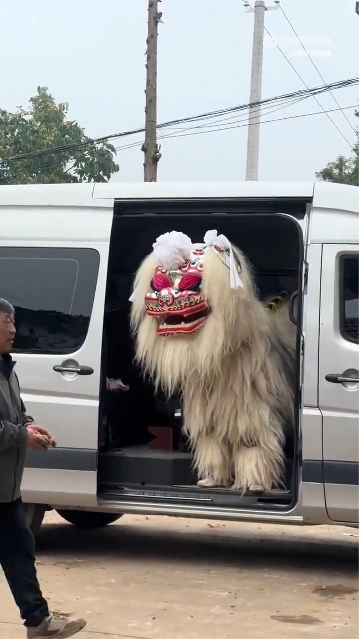 白狮吊孝，也不知道是哪里的习俗