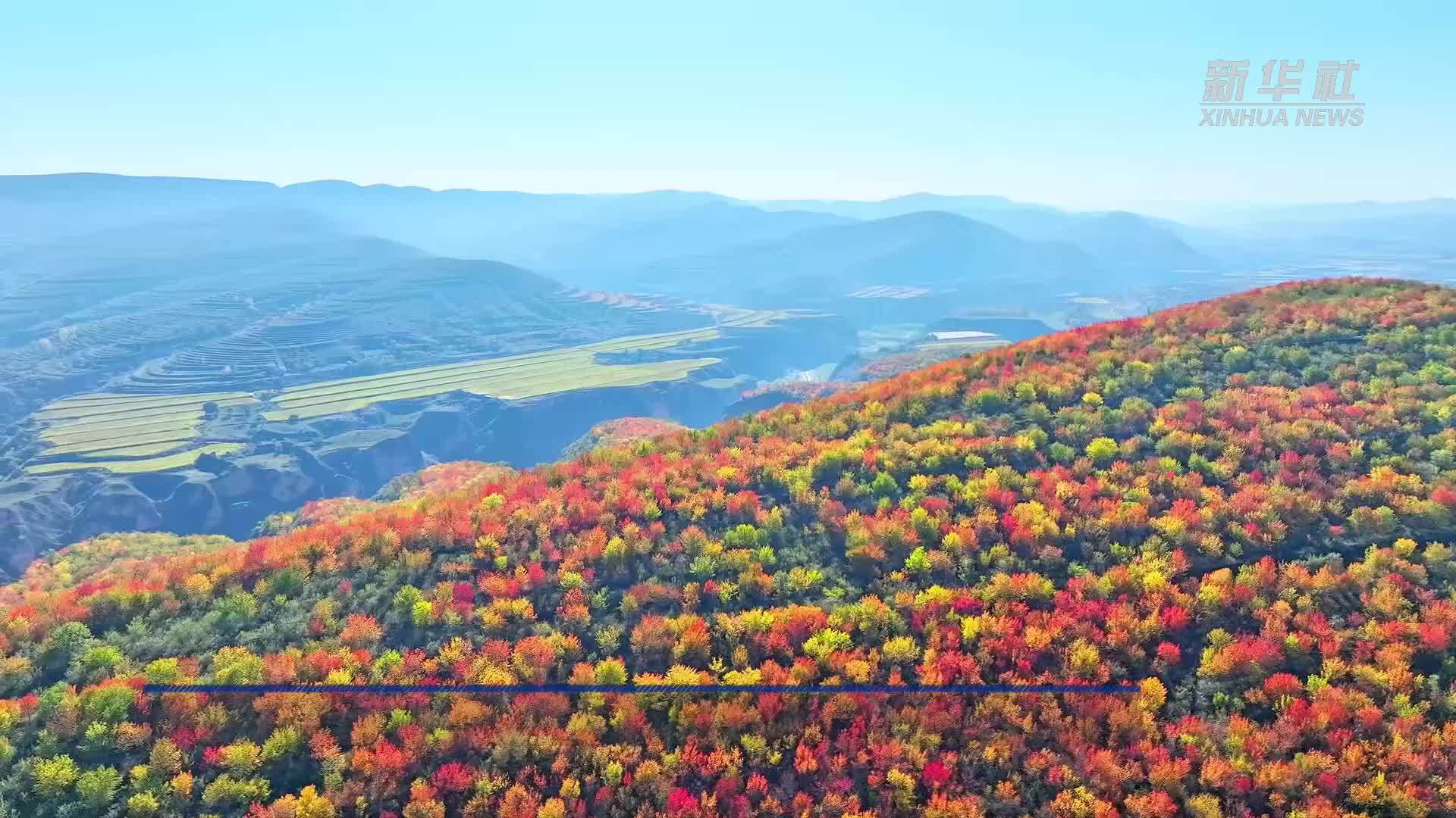宁夏原州：山河尽染秋色