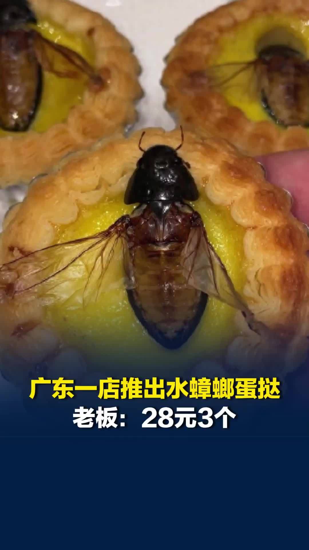 广东佛山一店推出水蟑螂蛋挞，老板：28元3个，水蟑螂有食疗价值，有外省消费者来买
