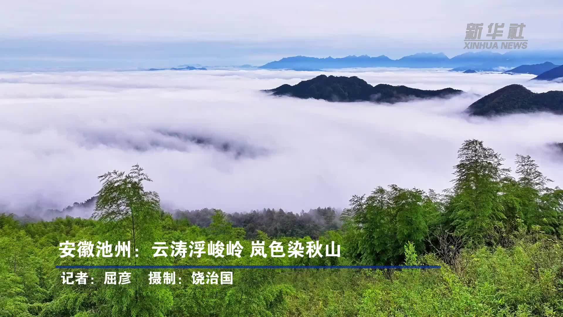 安徽池州：云涛浮峻岭 岚色染秋山