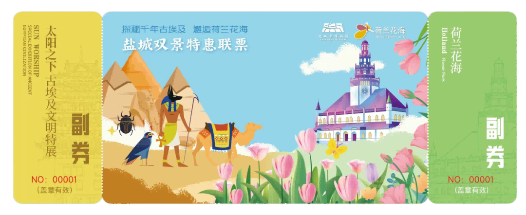 荷兰花海