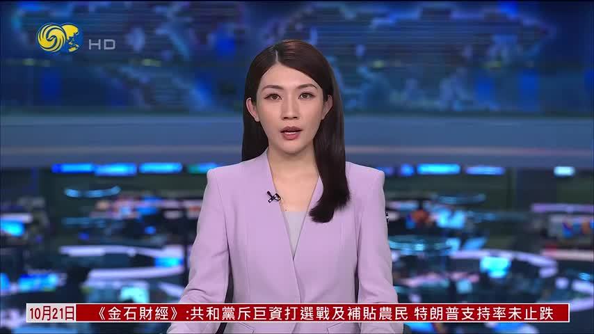 涉嫌袭击澳大利亚议员男子出庭受审 警方尚未确认其作案动机
