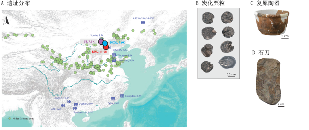 图为研究涉及的遗址分布与北京东胡林考古遗存。新华社发