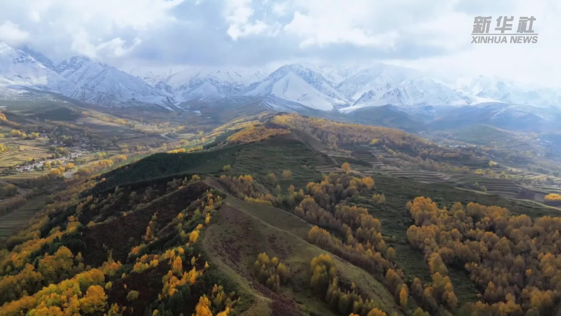 深秋龙王山 看雪山彩林相映