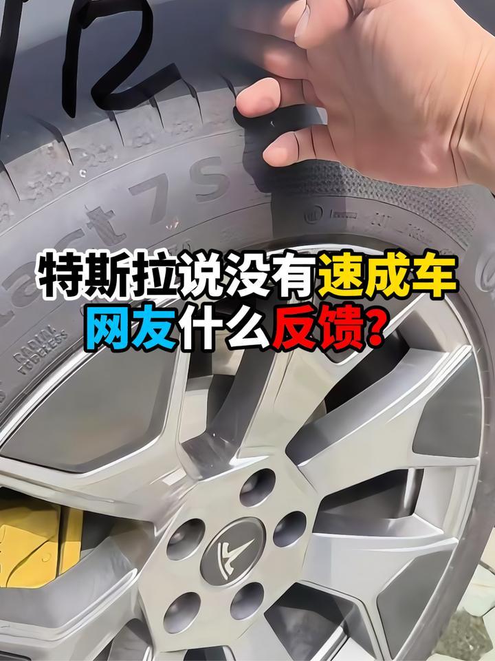 特斯拉说没有速成车网友什么反馈？