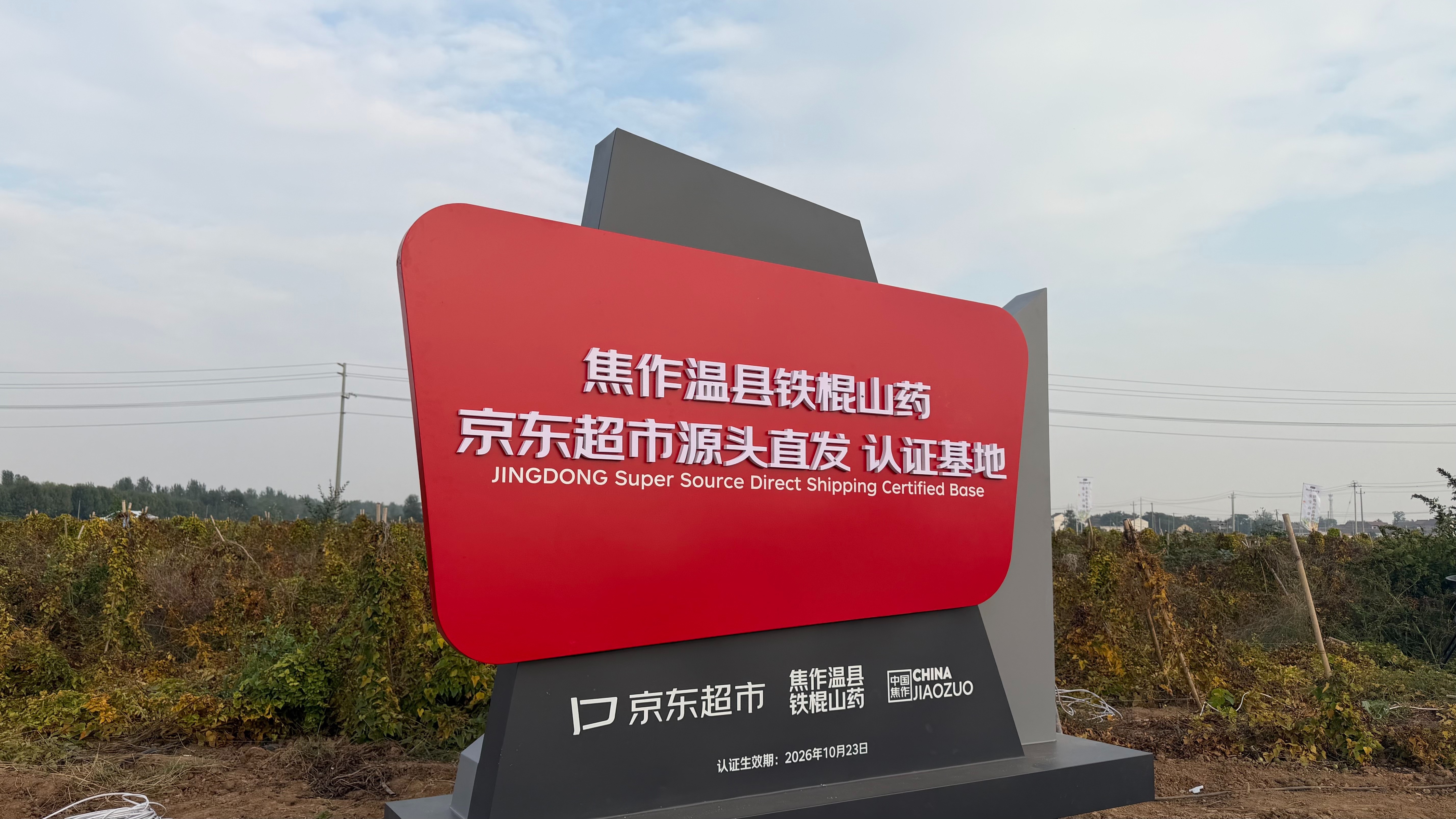 最快24小时直达餐桌!张宝山获京东生鲜“铁棍山药源头直发基地”授牌