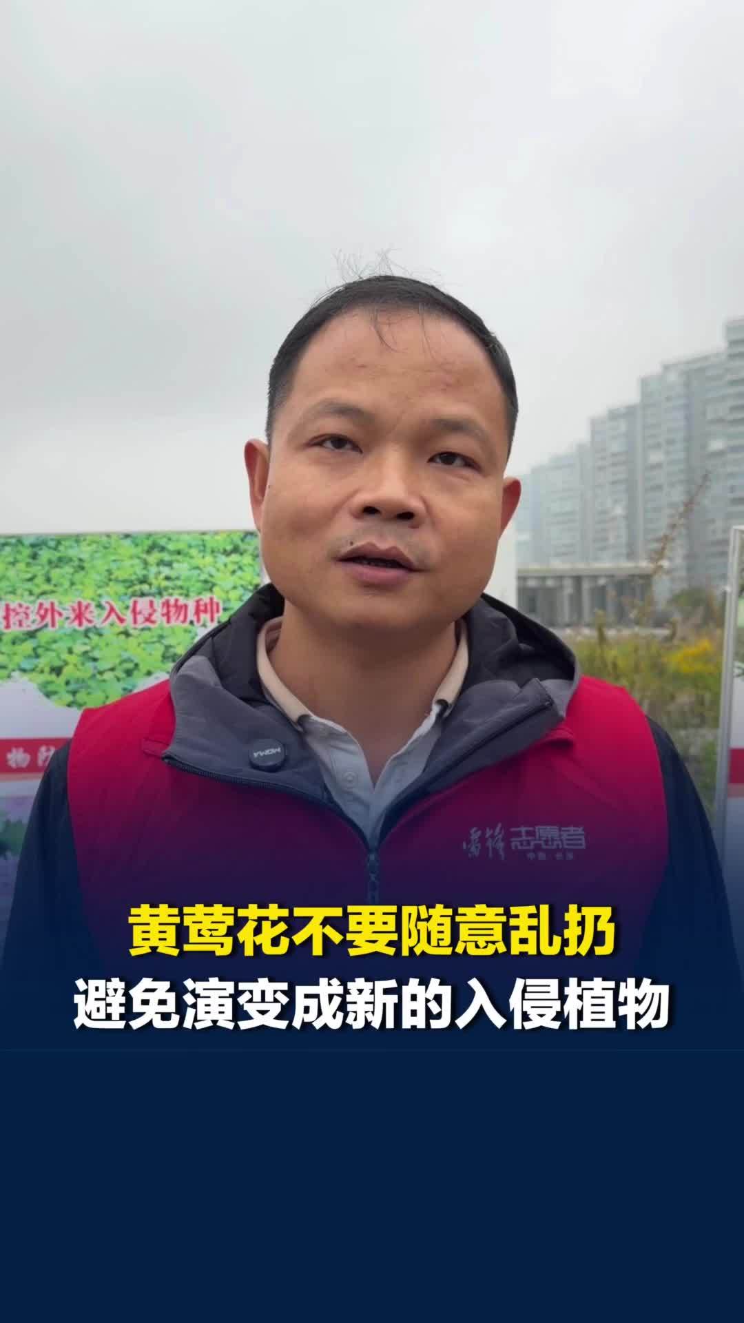 注意！市面上售卖的园艺黄莺花，买来后不要随意丢弃，避免演变为新的外来入侵植物
