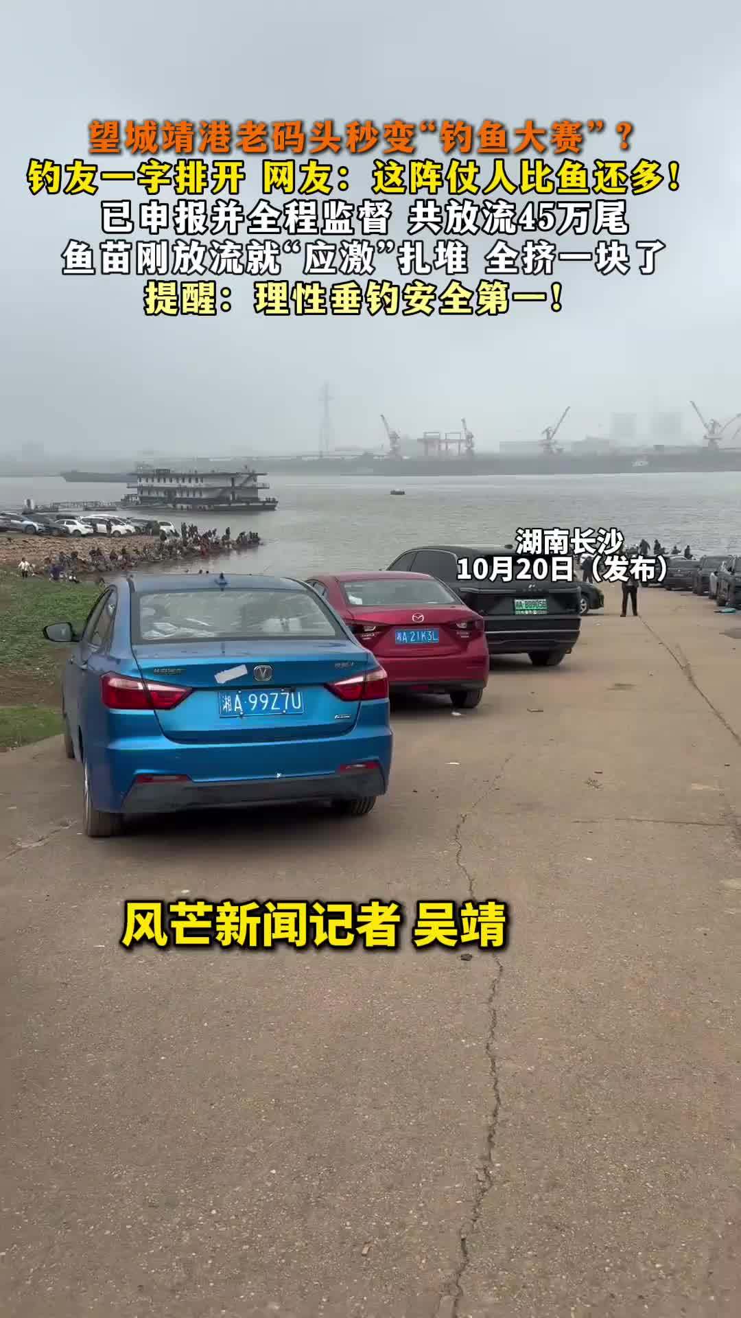 望城靖港老码头秒变“钓鱼大赛”？网友：这阵仗人比鱼还多
