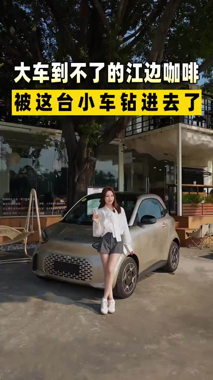 smar 精灵 2 车不大 但能装得下松弛和好奇