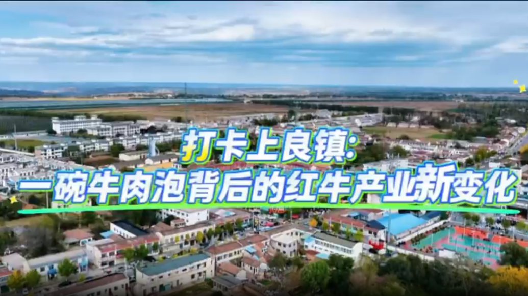 盘活闲置校舍变产业基地　甘肃灵台“链”出“牛”秘籍
