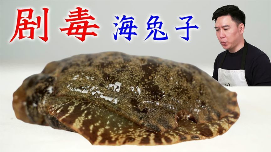 从未见过的海兔子，奇丑无比还含有剧毒，它真的能吃吗？