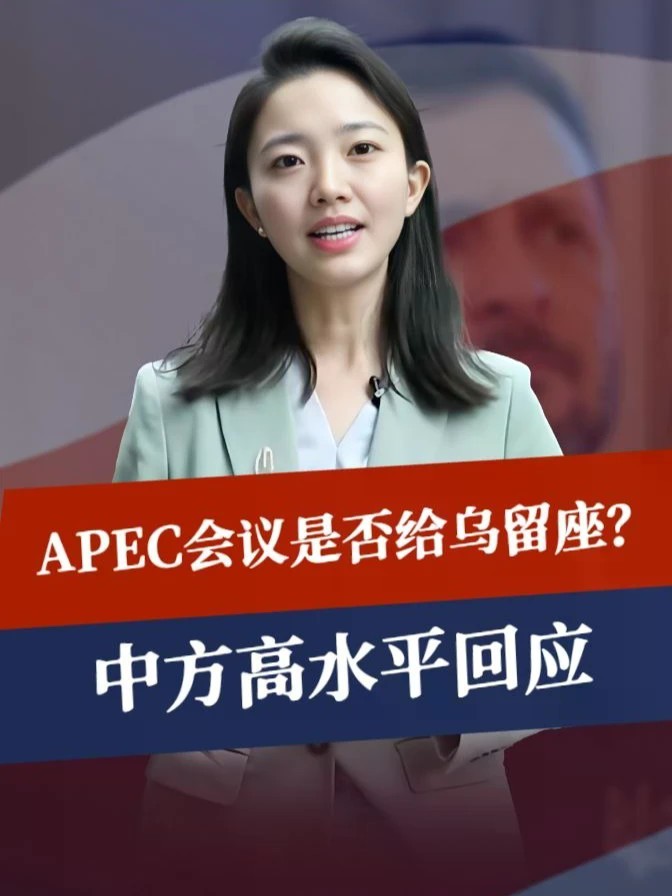 泽连斯基提出不情之请，希望APEC会议能给乌留座，中方高水平回应#零基础看懂全球 #全球创作者计划 #时代砺剑高燃出列
