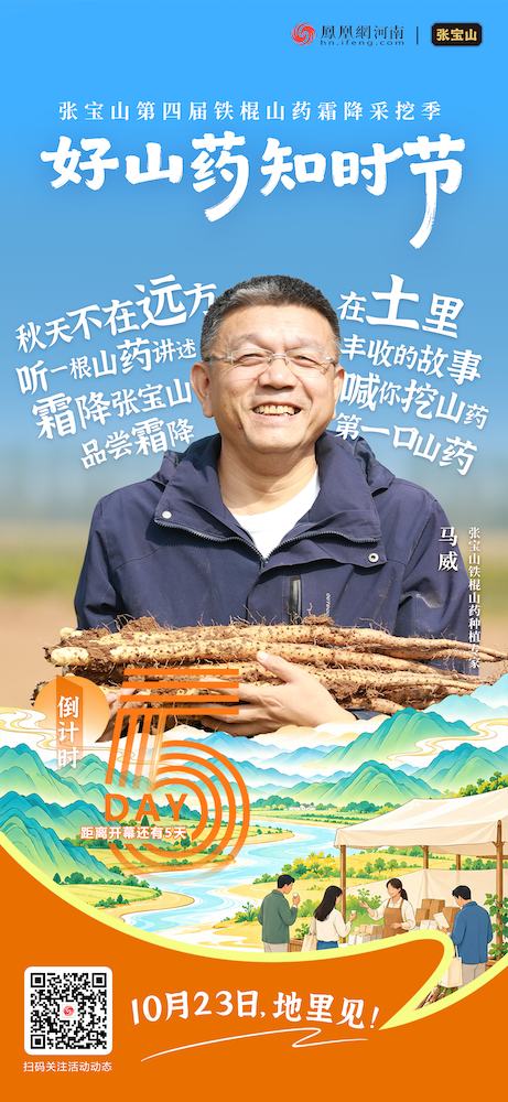 张宝山第四届铁棍山药霜降采挖季倒计时5天
