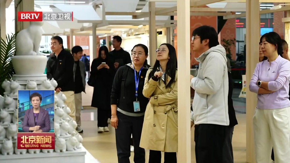 “数智风景”展亮相市政务服务大厅 市民观展打卡感受数智艺术魅力