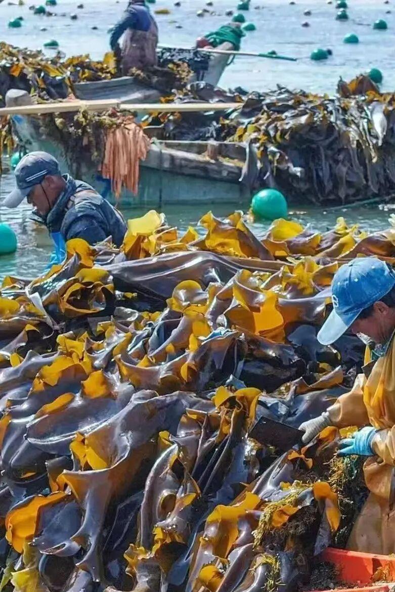 © | 组图 荣成文旅