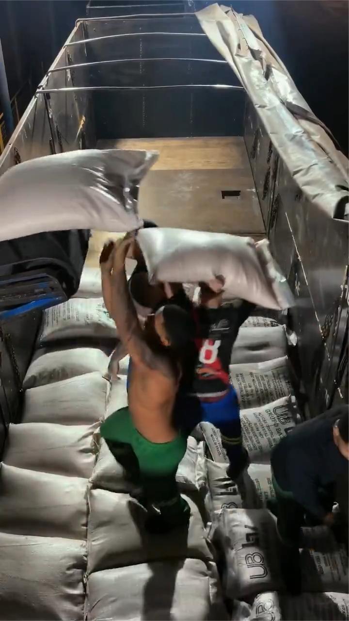 瞧瞧这帮家伙的协调性，这才叫干活不累