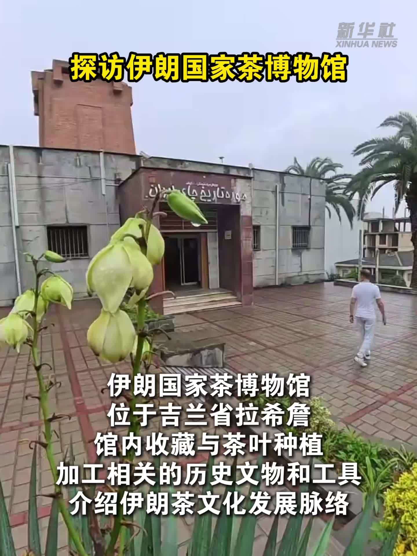 探访伊朗国家茶博物馆