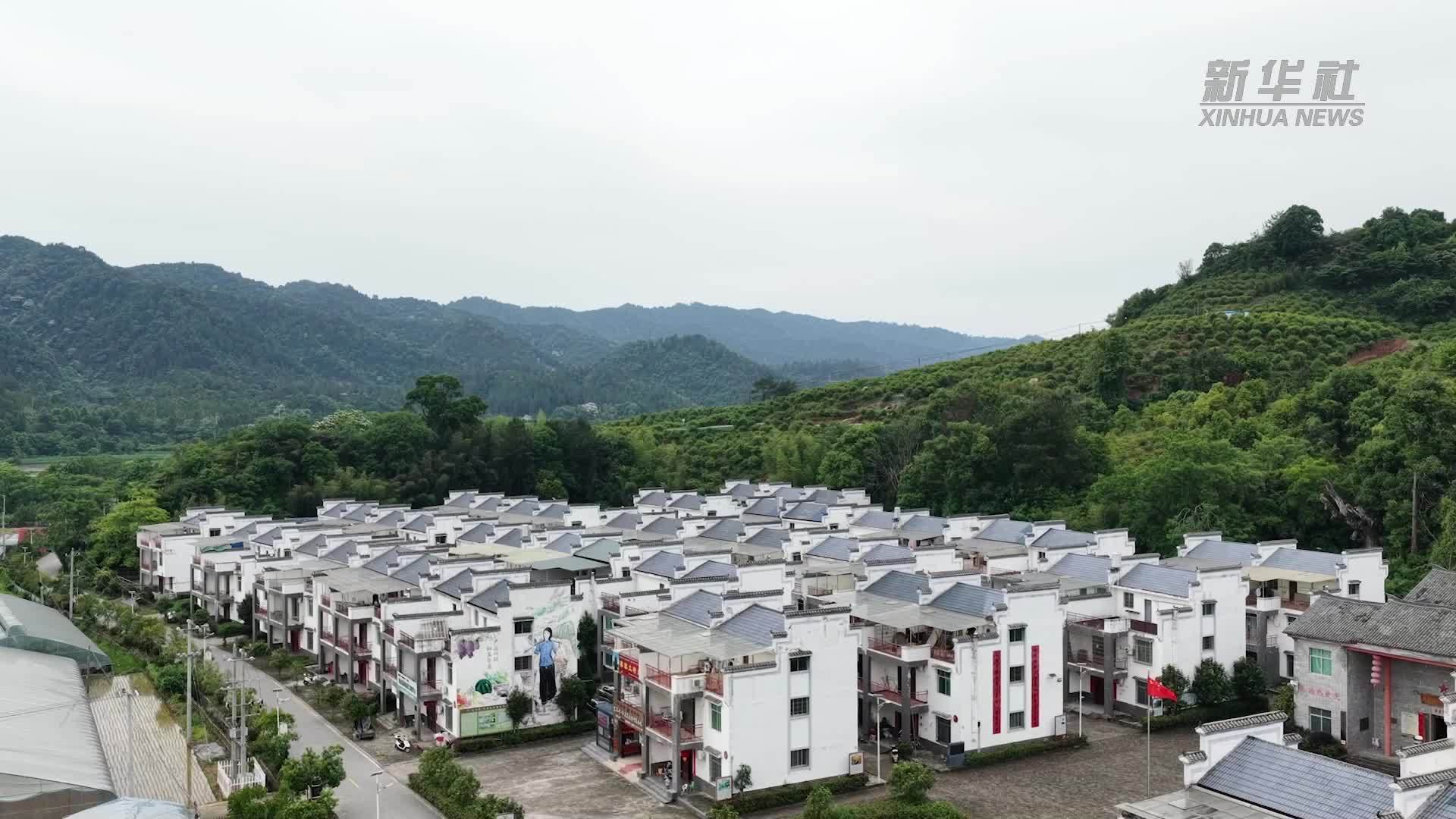 新长征路上的我们｜启程前他种了棵树 和太爷爷一样