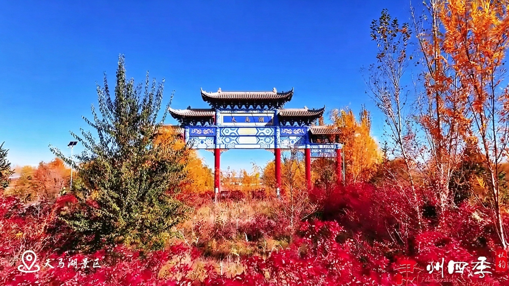甘肃肃州天马湖景区给你点秋色瞧瞧　这波千万别错过
