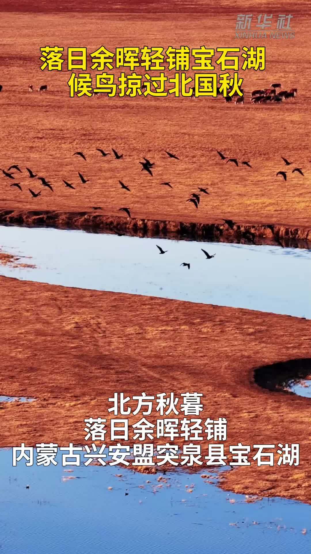 落日余晖轻铺宝石湖 候鸟掠过北国秋