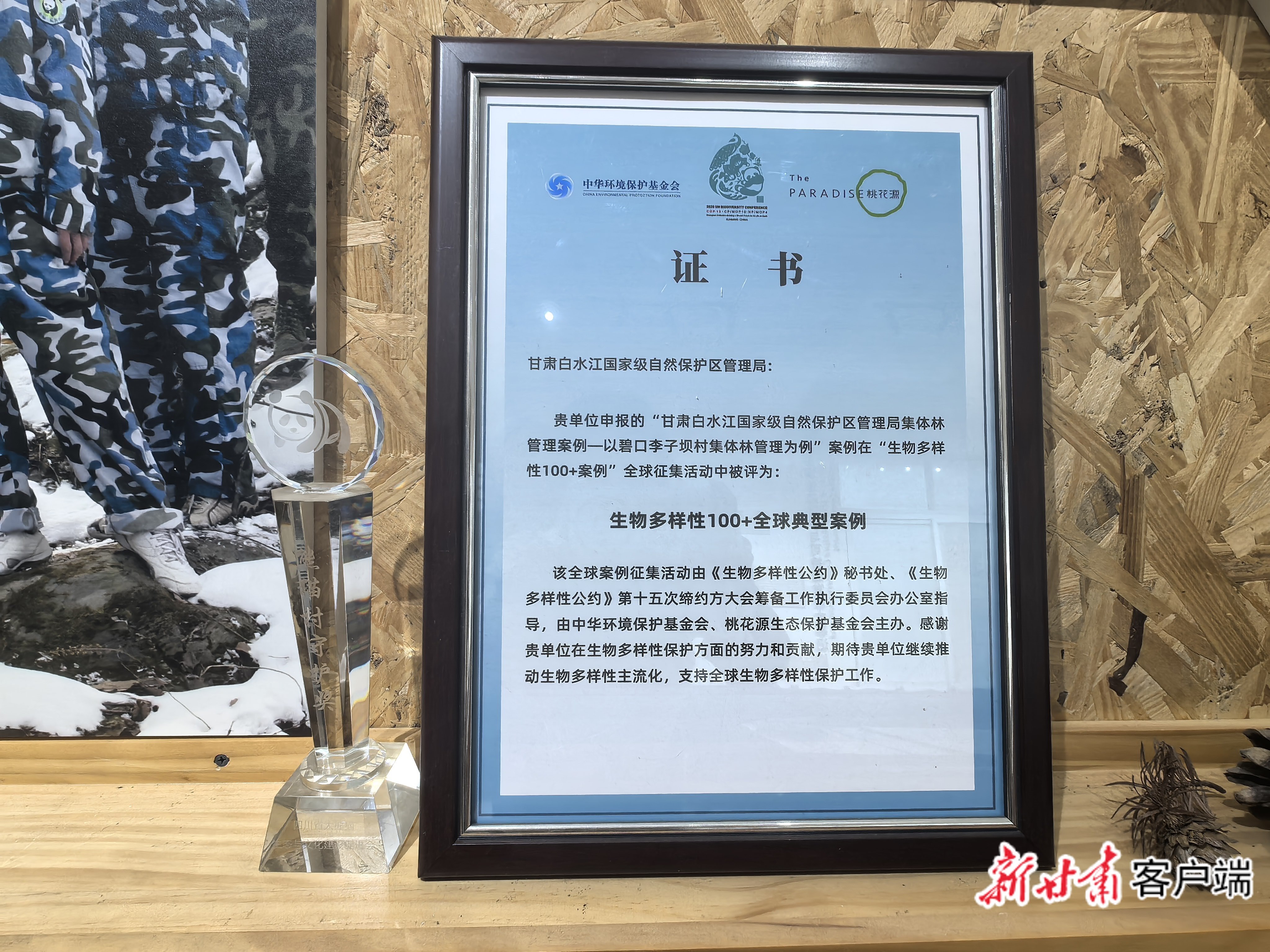 “生物多样性100+全球典型案例”证书 图:新甘肃·甘肃日报记者 顾丽娟 摄