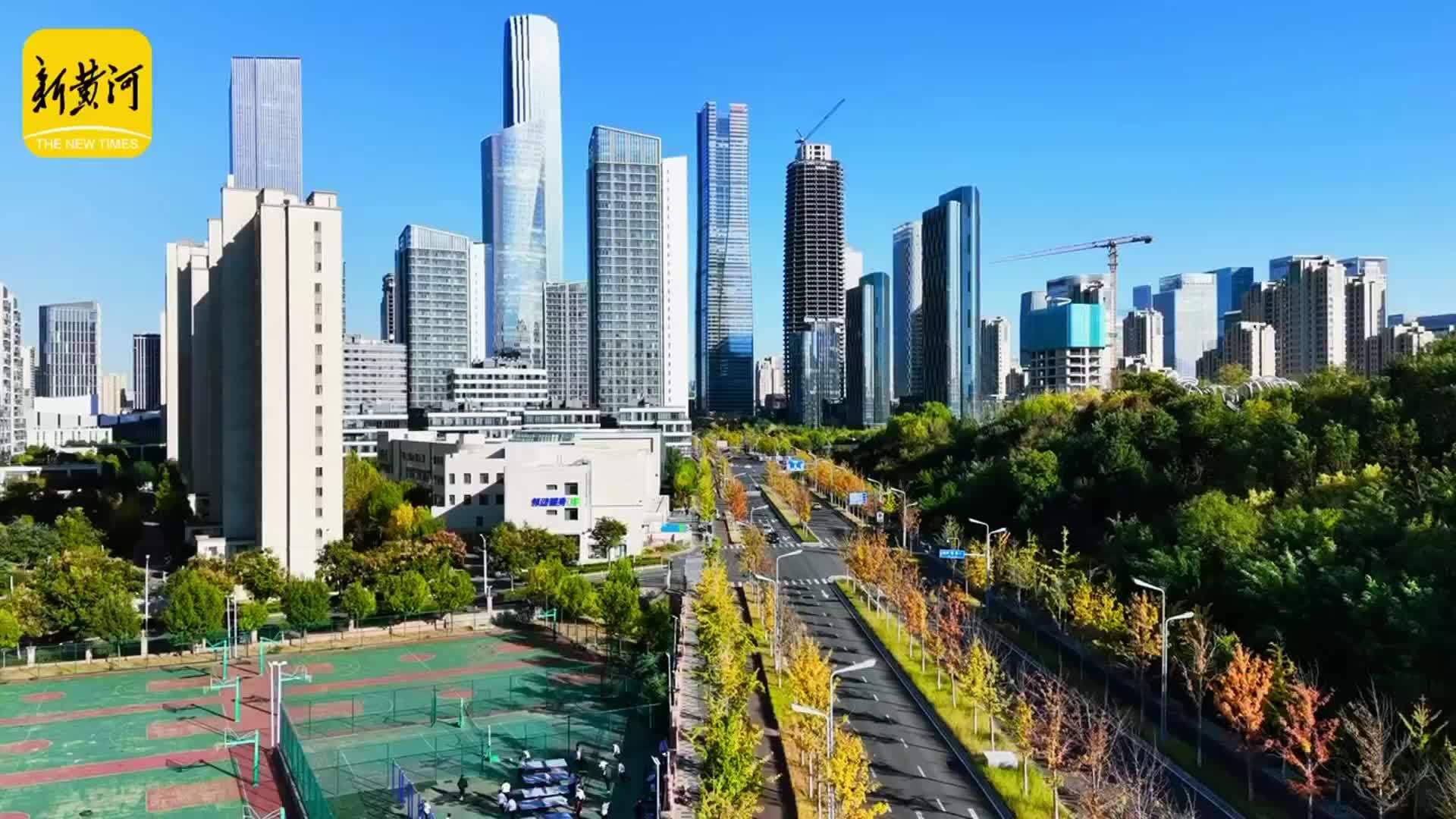 娜塔栎染红CBD街头，深秋泉城再添一抹亮色