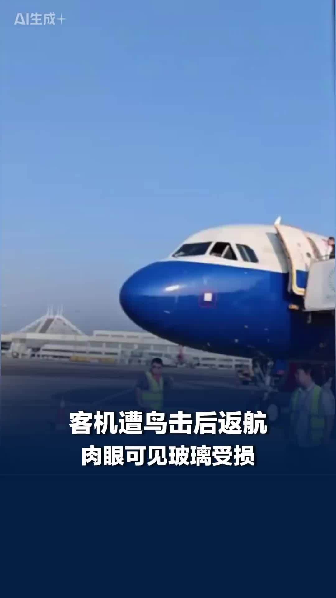 客机遭鸟击后返航，亲历乘客：肉眼可见玻璃受损，换机抵达后，大家自发给机组写感谢信