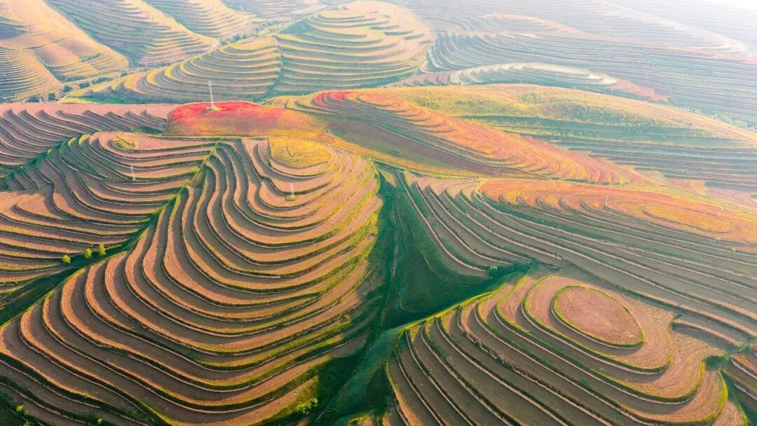 大地指纹