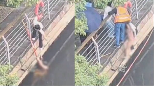 【白衣女子和环卫大叔联手救落水女孩 】女子救下落水女孩后帮忙整理衣服
