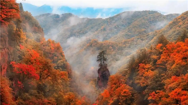 莲花台秋色（图片来源：华亭市委宣传部）