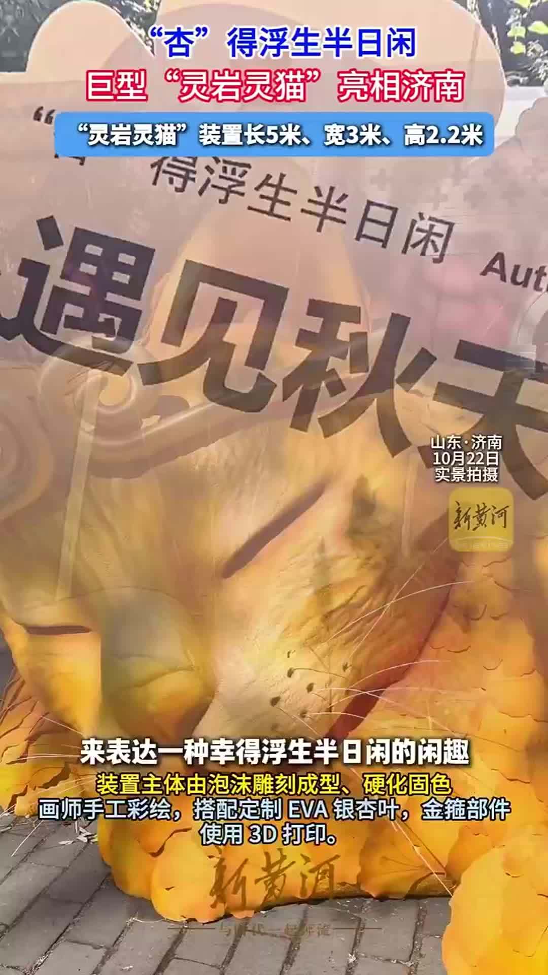 “杏”得浮生半日闲，巨型“灵岩灵猫”亮相济南