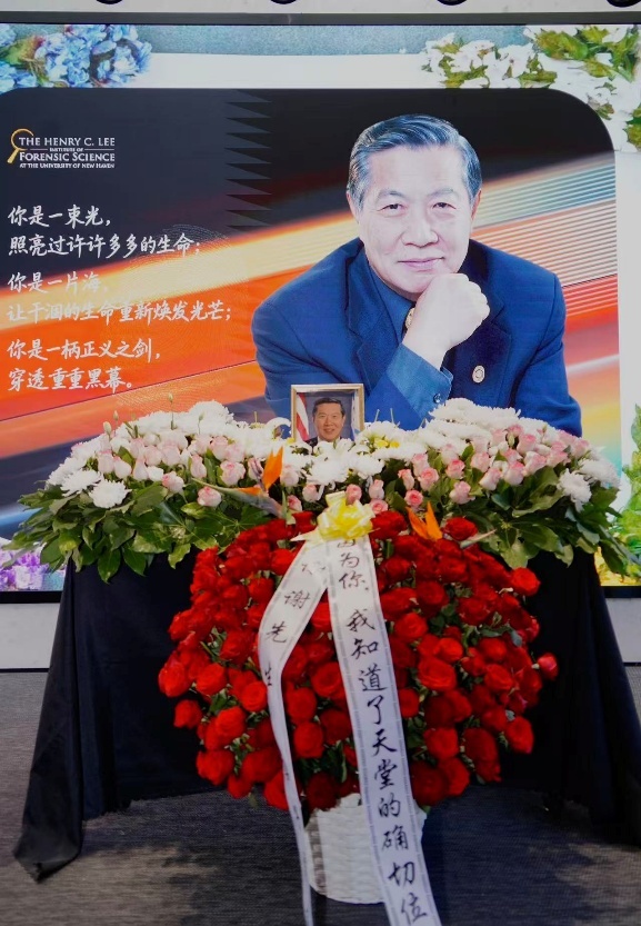 各色鲜花层层铺陈