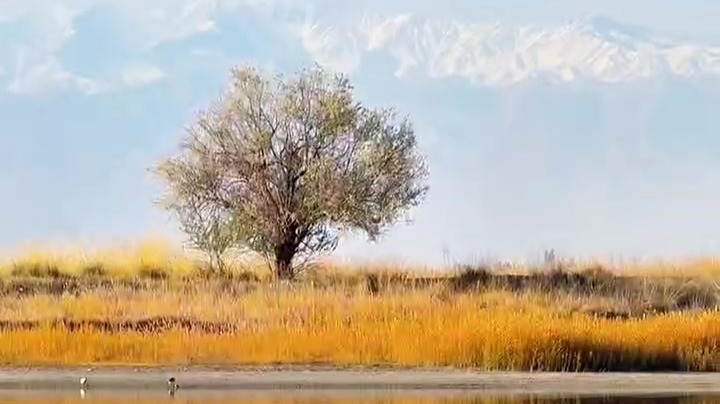 秋染肃州　满目盛景