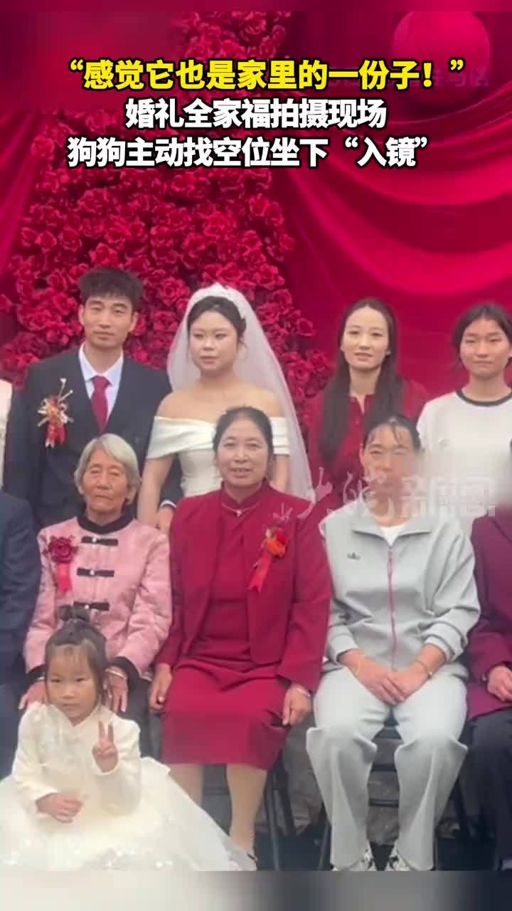 “感觉它也是家里的一份子！”婚礼全家福拍摄现场，狗狗主动找空位坐下“入镜”