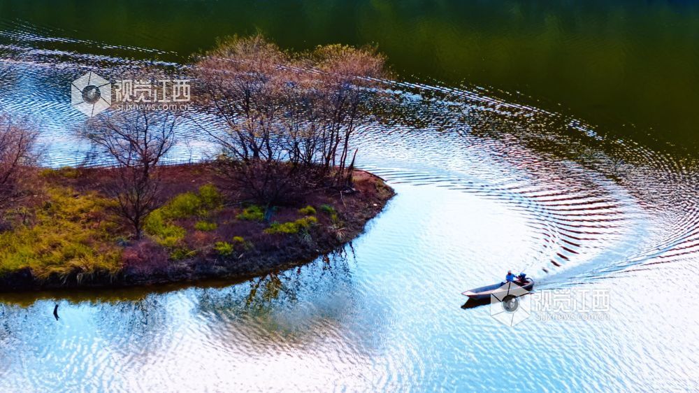 2026年10月18日在江西省吉安市吉水县水南镇水口村拍摄的画面。