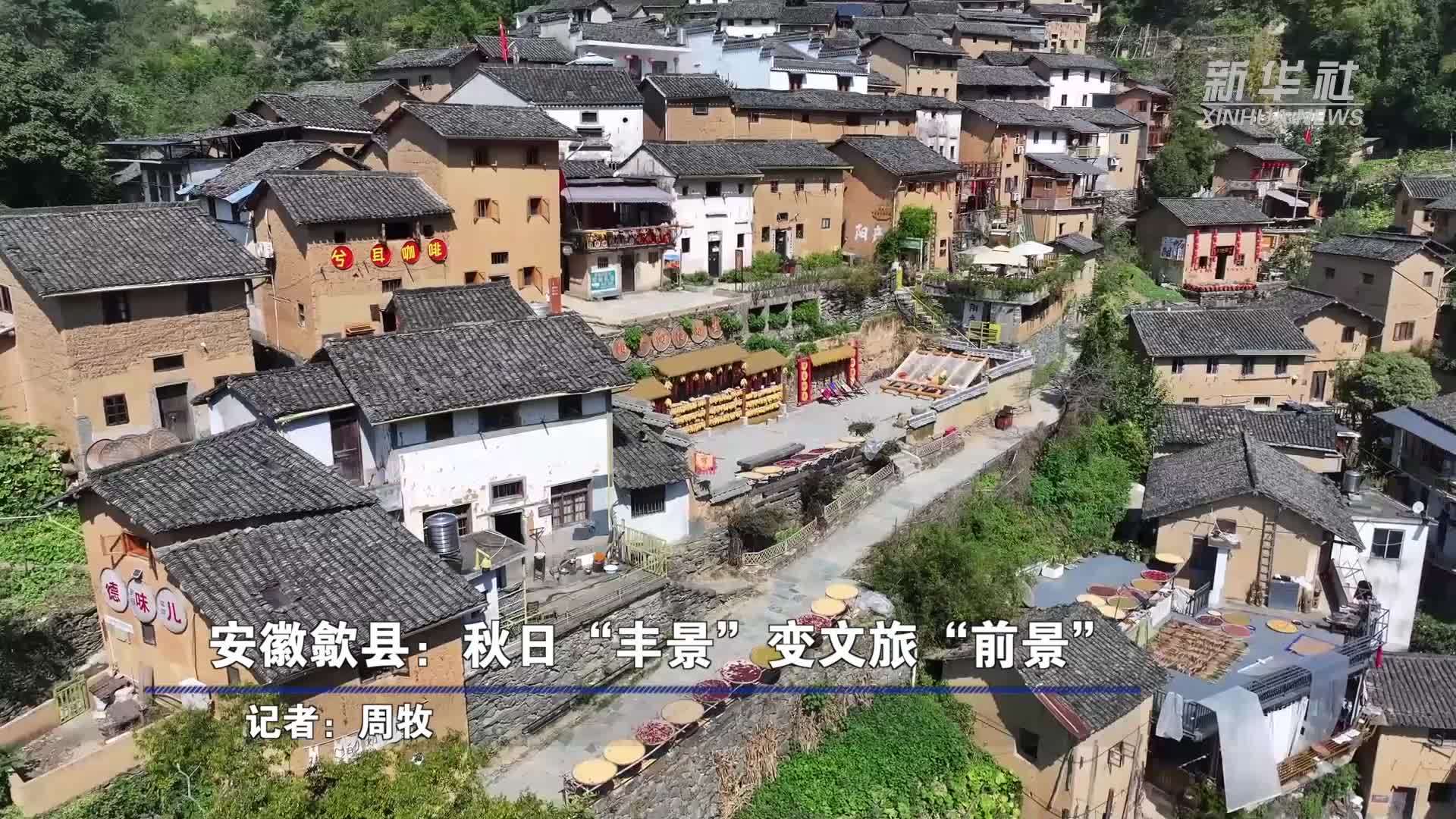 安徽歙县：秋日“丰景”变文旅“前景”