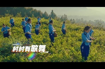 2026年江西省村歌村舞交流展演活动将于10月23日在乐安启幕