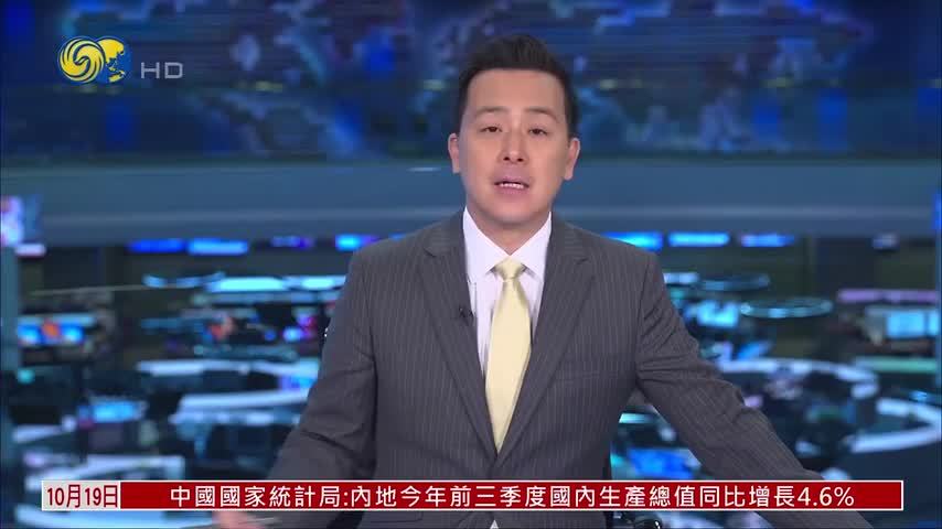 美国一运牛卡车侧翻 牛群窜入市区引混乱