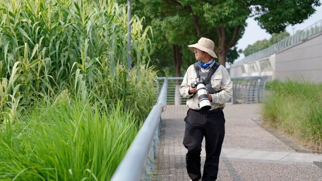 喵喵老师要的3.jpg